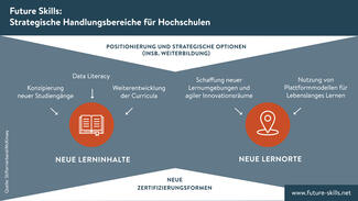 Strategische Handlungsbereiche (Grafik)